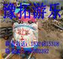山东四节八座小火车玩具