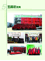 江苏新时代照明有限公司