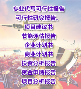浙江省专业代写项目可行性研究报告、节能评估报告、资金申请报告  优质报告