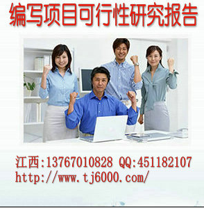 宜春市专业代写项目可行性研究报告  优质报告