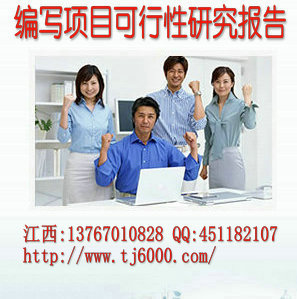 南昌市九江市专业代写工业项目立项申请报告  可行性研究报告  优质报告