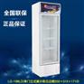 成云LG-198LD单门直冷展示柜