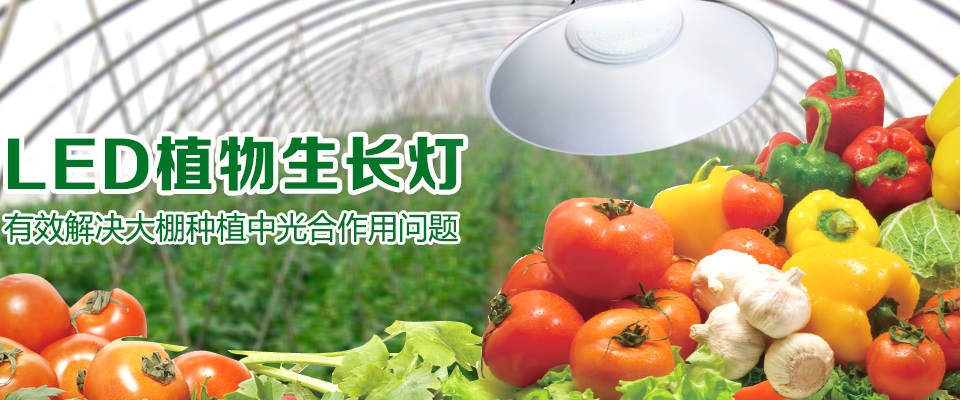 植物生长灯