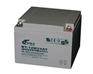 赛特 BT-12M24AT (12V24Ah)蓄电池