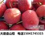 山楂树苗供应辽宁山楂苗熊岳大金星山楂苗批发价格