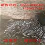 重庆M16-M40钢筋套筒厂家钢筋直螺纹套筒批发聊城宏达