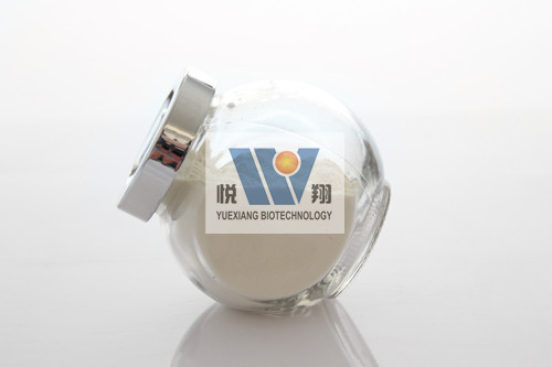 二十二碳六烯酸（DHA）藻粉  DHA藻油  DHA藻粉