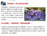 探索拥有中小企业天堂的台湾六盘水