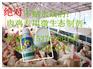 肉禽专用肽美肉禽益生菌饲料添加剂