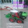 农用柴油2行大蒜 小型前推式大蒜收获机 自动大蒜联合