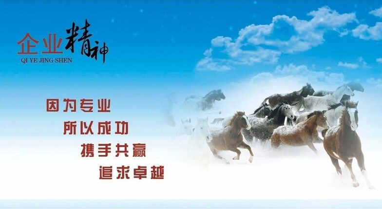 陕西赛硕机电设备有限公司