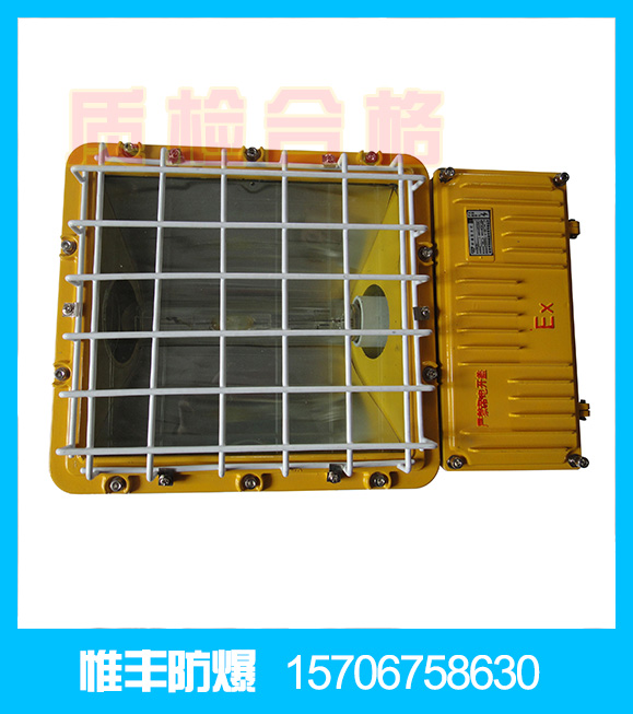 bfc8110a|唯一选择|惟丰防爆