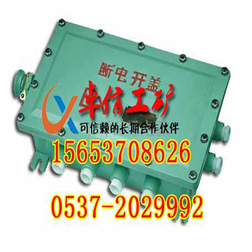 CBJX防爆接线箱加工各种规格CBJX防爆接线箱  CBJX防爆接线箱价格