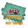 CBJX防爆接线箱加工各种规格CBJX防爆接线箱