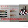 安徽昌普伴热采样管FHT-D38- 40W-B2G8*1-B