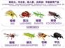 口袋动物园玩具批发