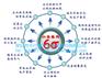 六西格玛培训咨询浅析6 sigma管理团队活动周期