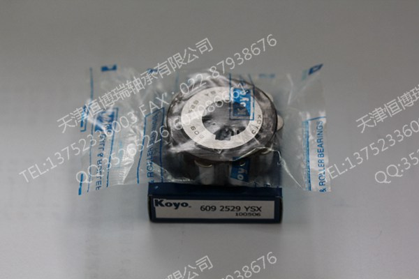 济南25UZ4142935T2X-EXNTN进口偏心轴承&nbsp;&nbsp;减速机轴承&nbsp;&nbsp;进口轴承