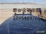 三沙沼气池防渗HDPE土工膜