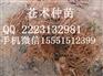 苍术种子/苍术籽/苍术芽子/苍术芽头/苍术苗子/苍术种苗