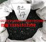 丹皮种子/丹皮籽/丹皮芽子/丹皮苗子/丹皮种苗