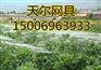聚乙烯防鸟网厂家天尔牌聚乙烯防护网