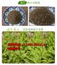 厂家直销多年生黑麦草种子哪里卖卖？