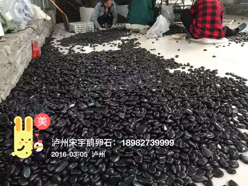 贵州遵义鹅卵石
