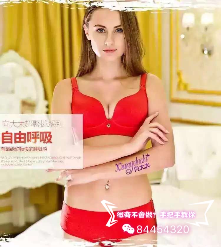向大大厦门华博基尼内衣无钢圈内衣代理批发