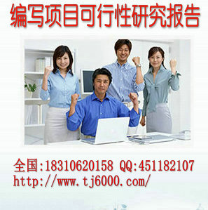 驻马店市代写可行性研究报告，商业计划书  河南代写报告  驻马店代写报告