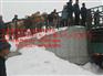 兰西县东北改良牛基地
