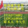 鹤壁市塑胶篮球场塑胶跑道做法报价