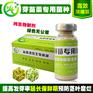 洋葱em益生菌生物营养液减少病虫害