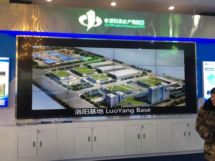 郑州LED显示屏  户外广告