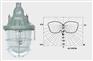 上海宝临BAD54D防爆防腐灯 隔爆型防爆灯 防爆灯