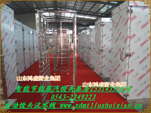 廊坊市广阳区生产定做纯钢蒸箱，蒸汽双门蒸箱厂家定做