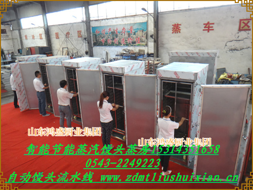 廊坊市广阳区生产定做纯钢蒸箱，蒸汽双门蒸箱厂家定做