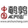 四川省鹌鹑苗批发价格？