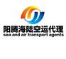 上海洋山港报关公司