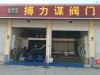 搏力谋（武汉）阀门有限公司