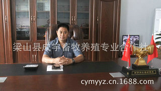 梁山县成宇畜牧养殖专业合作社