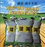 牛羊专用益生菌，调肠道促生长增加采食量，提高产奶量，改善饲养