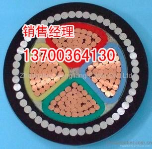 电力防爆铠装电缆规格，IAVV22电缆