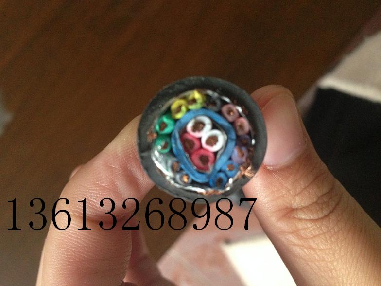 现场总线电缆RS485  RS485电缆