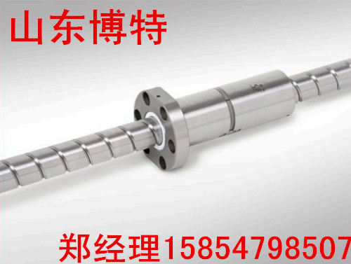 高速精密滚珠丝杠,山东滚珠丝杠厂家  供应各类滚珠丝杠