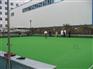 塑胶草皮