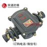 BHD2-100/660-2T矿用隔爆型低压接线盒