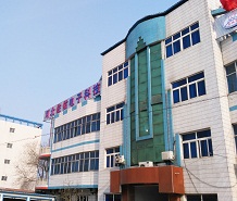 河北佐佑电子科技有限公司