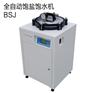 全自动真空饱盐饱水机BSJ型