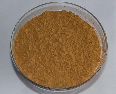 供应喜来芝提取物10:1 纯植物提取  保护肝脏